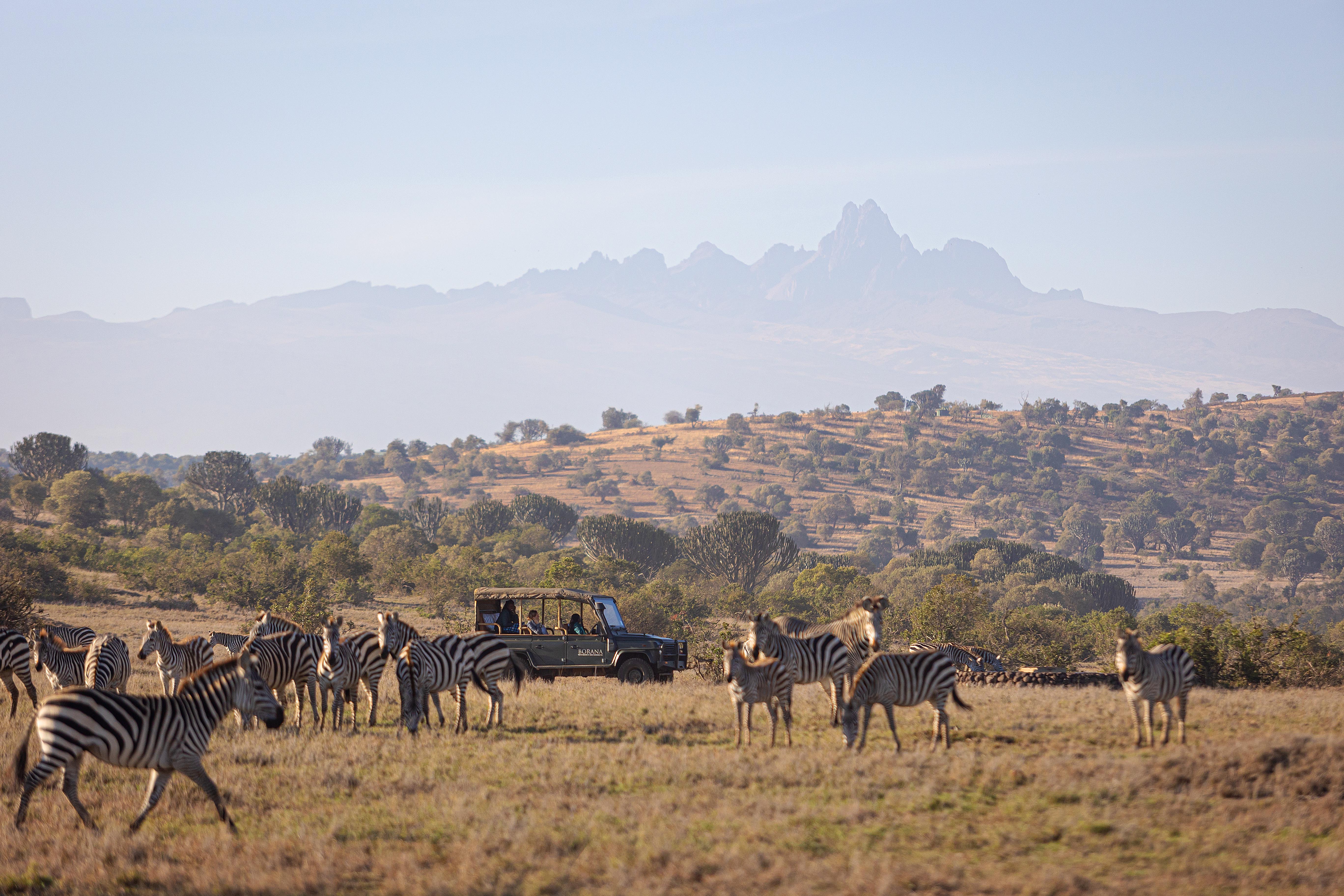 Borana Lodge thumbnail 9